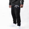 P.S. Arch Sweatpants